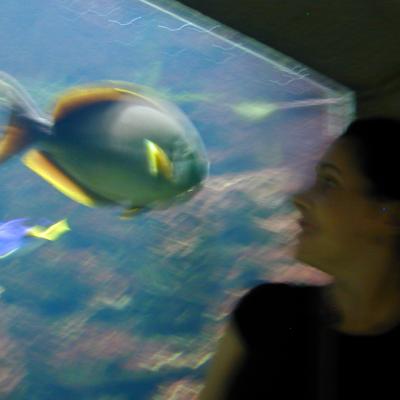 Dscn1513
